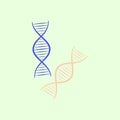 Two DNA helix illustrations in blue and peach on a light green background, representing genetics Royalty Free Stock Photo