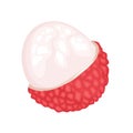 Lychee half peeled isolated on white background. Vector cartoon flat illustration. Royalty Free Stock Photo