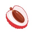 Fresh lychee isolated on white background. Lychee cut in half, with seed. Royalty Free Stock Photo