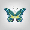 Blue butterfly on a light gray background. Royalty Free Stock Photo
