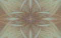 Art illustration brown background pattern. reflection fractal Royalty Free Stock Photo
