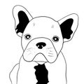 Art illustration of a sad french bulldog puppy Royalty Free Stock Photo