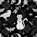 Seamless pattern with mystic animals - cat, crow and moth, dreamcatcher and witch magic objects Royalty Free Stock Photo