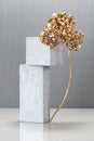 Art installation in the style of minimalism with the use of concrete blocks and a golden plant