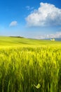Art Italy spring countryside landscape, green farmland over blue sky Royalty Free Stock Photo