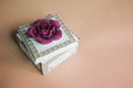 Art jewelry box with scarlet flower on beige background.