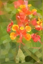Low polygon Flam boyant flower