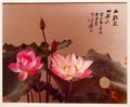 Art Macao Wynn Antique Chinese Water Lilies Lotus Photography Arts Hu Chongxian Zhang Daqian Calligraphy Chang Dai-Chien Garden