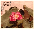 Art Macao Wynn Palace Antique Chinese Lotus Photography Arts Hu Chongxian Zhang Daqian Calligraphy Chang Dai-Chien Garden Painting