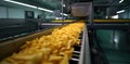 The art of making delicious potato chips in a factory. Royalty Free Stock Photo