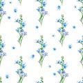 Floral seamless pattern with little flowers of blue oxypetalum.