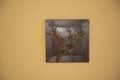 Art metal bronze creation on the wall Royalty Free Stock Photo