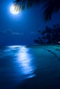 Art Moonlight tropical sea beach night Royalty Free Stock Photo