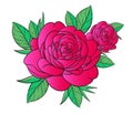 Art of nature, A bouquet of bright red roses on a white background.hand drawn style vector design illustrations.
