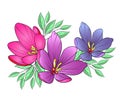 Art of nature, A bouquet of colorful flowers on a white background. hand drawn style vector design illustrations.