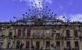 View of the impressive Peacock Sculpture on a buidling in Buchanan Street.