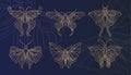 Art nouveau style butterfly basic element. 1920-1930 years vintage design. Symbol motif design.