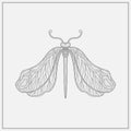 Art nouveau style dragonfly insect basic element. 1920-1930 years vintage design. Symbol motif design.