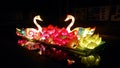 Art object exhibit during Vivid Sydney night festival. The composition shows a pair of swans amidst blooming pond.