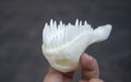 Art object printed on 3D printer Model printed on 3D printer from melted plastic