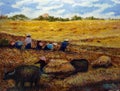 Art painting Oil color Thai land Harvest Rice , Hut northeast Thailand Countryside