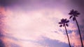 Art Palm tree gritty grunge backround