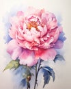 The Art of Peony: A Deep Pink Flower with Green Leaves