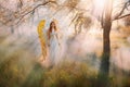 art photo fantasy woman angel with golden bird wings walking in forest fairy mystical girl greek goddess long white Royalty Free Stock Photo