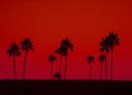 Art photo of Palm trees in silhouette against red sky