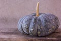 Art Photo pumpkin still life