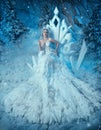 Art photo real people Fantasy woman snow queen sits on ice throne, white long dress train bird feathers crown icicles Royalty Free Stock Photo