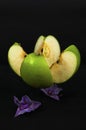 Art photo slices of green apple with orchid flowers on a black background Royalty Free Stock Photo