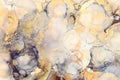 art photography of abstract fluid art painting with alcohol ink, black, gray and gold colors Royalty Free Stock Photo