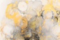 art photography of abstract fluid art painting with alcohol ink, black, gray and gold colors Royalty Free Stock Photo