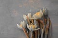 Art photography of daffodils flowers. Shallow depth of field. Gray flowers daffodils on a wooden table. Toned image