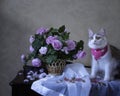 Adorable kitty and bouquet of flowers Royalty Free Stock Photo