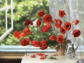 Still life with bouquet of red poppies Royalty Free Stock Photo