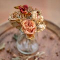 Art photography. Roses withered in a glass vase. Royalty Free Stock Photo