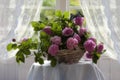 Still life with bouquet of pink shrub roses Royalty Free Stock Photo