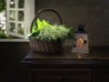 Still life with lily of the valley in the basket Royalty Free Stock Photo