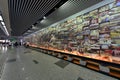 Art in Shanghai metro station