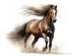 Beautiful animal style art pieces Ferocious Elegant Horse Drawing