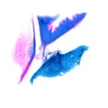 Art Pink, dark blue watercolor ink paint blob watercolour splash Royalty Free Stock Photo