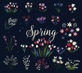Art print with botanical elements. Big collection of flowers, leaves, and spring symbols. Beautiful wild herbs