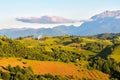 Art rural landscape. field and grass. summer time in country side Royalty Free Stock Photo