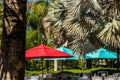 Views while walking around Busch Gardens Tampa Florida United States