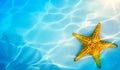 Art Shells starfish on tropical sandy beach  background Royalty Free Stock Photo