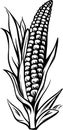 sketch of a white corn on white background, cartoon, illustration Royalty Free Stock Photo