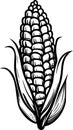 sketch of a white corn on white background, cartoon, illustration Royalty Free Stock Photo