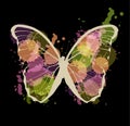 Art sketched colorful butterfly symbol in vector